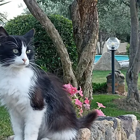 Rebecca Holiday home