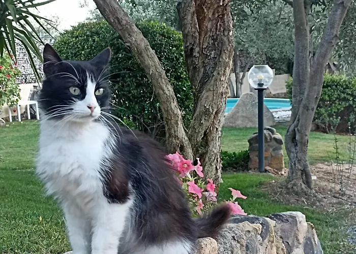 Rebecca Vakantiehuis